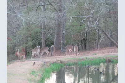 475 Douglas Drive, Beech Island, SC 29842 - Photo 2