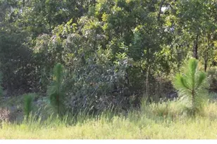 Tbd Callaway Dr, Graniteville, SC 29829 - Photo 1