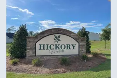 378 Tupelo Pass, Harlem, GA 30814 - Photo 44