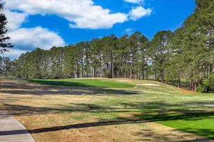 224 Forest Pines Rd, Aiken, SC 29803 - Photo 54