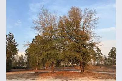 734 State Park Road, Windsor, SC 29856 - Photo 10