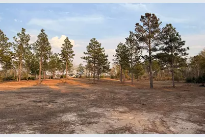 734 State Park Road, Windsor, SC 29856 - Photo 2