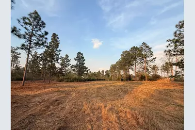 734 State Park Road, Windsor, SC 29856 - Photo 1