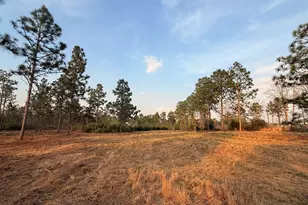 734 State Park Rd, Windsor, SC 29856 - Photo 1