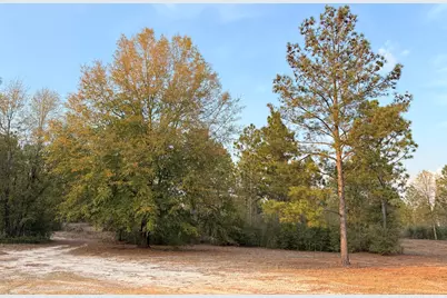 734 State Park Road, Windsor, SC 29856 - Photo 8