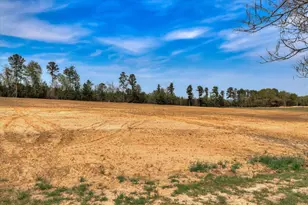 125 Peach Cider Rd, Batesburg-Leesville, SC 29006 - Photo 24