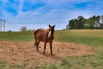 125 Peach Cider Road, Batesburg-Leesville, SC 29006 - Photo 22