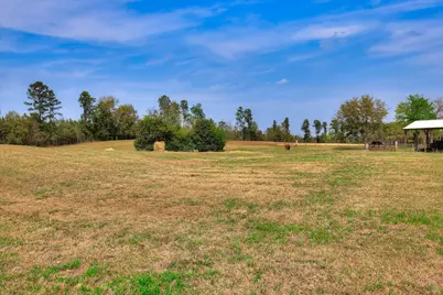 125 Peach Cider Road, Batesburg-Leesville, SC 29006 - Photo 18
