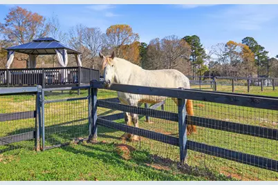 3725 Lone Oak Drive, Aiken, SC 29803 - Photo 38