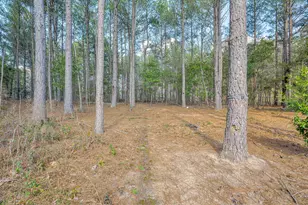 2086 Piper Rd, Aiken, SC 29805 - Photo 34