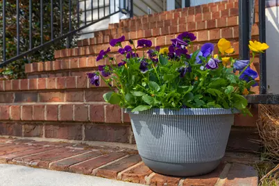 57 Emerald Ridge, Aiken, SC 29803 - Photo 52