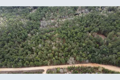 00 Edisto Lake Road, Wagener, SC 29164 - Photo 8