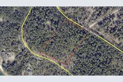 00 Edisto Lake Road, Wagener, SC 29164 - Photo 6