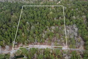 00 Edisto Lake Rd, Wagener, SC 29164 - Photo 1