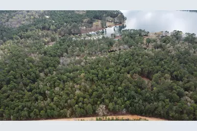 00 Edisto Lake Road, Wagener, SC 29164 - Photo 2