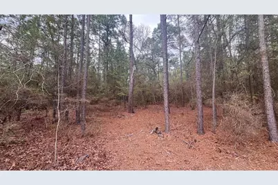 00 Edisto Lake Road, Wagener, SC 29164 - Photo 4