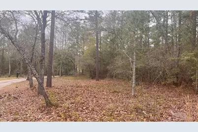 00 Edisto Lake Road, Wagener, SC 29164 - Photo 14