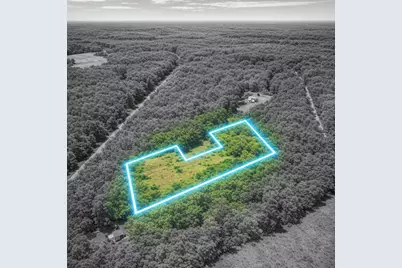 451 Pringlewood Road, Eastover, SC 29044 - Photo 2