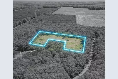 451 Pringlewood Road, Eastover, SC 29044 - Photo 8