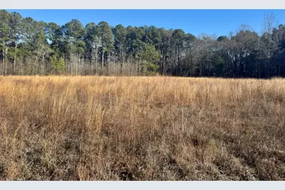 451 Pringlewood Road, Eastover, SC 29044 - Photo 1