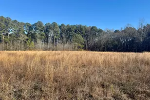 451 Pringlewood Rd, Eastover, SC 29044 - Photo 1