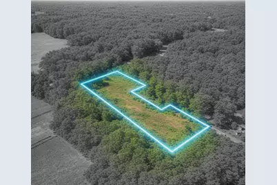 451 Pringlewood Road, Eastover, SC 29044 - Photo 4