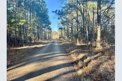 451 Pringlewood Road, Eastover, SC 29044 - Photo 6