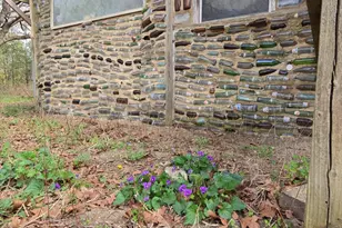 916 Windsor Rd, Windsor, SC 29856 - Photo 12