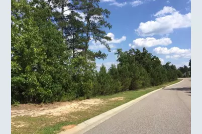 175 Bridge Crest Court, Aiken, SC 29803 - Photo 1