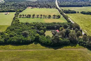 357 Williston Rd, Beech Island, SC 29842 - Photo 64