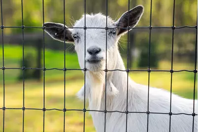 708 New Bridge Road, Aiken, SC 29805 - Photo 54