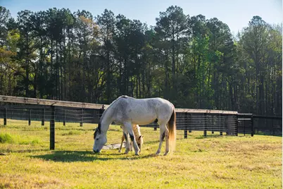 708 New Bridge Road, Aiken, SC 29805 - Photo 36