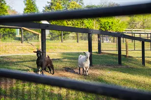 708 New Bridge Rd, Aiken, SC 29805 - Photo 52