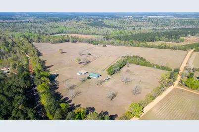 252 Moseley Road, Williston, SC 29853 - Photo 60