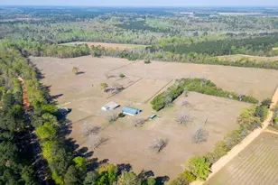 252 Moseley Rd, Williston, SC 29853 - Photo 60