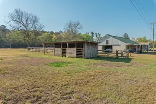252 Moseley Rd, Williston, SC 29853 - Photo 28