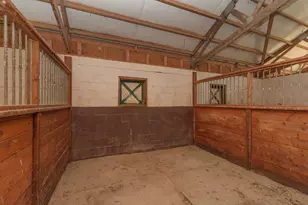 252 Moseley Rd, Williston, SC 29853 - Photo 22