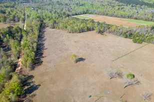 252 Moseley Rd, Williston, SC 29853 - Photo 64