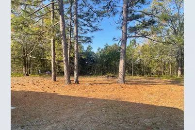 2667 Piper Road, Ridge Spring, SC 29129 - Photo 16