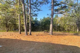 2667 Piper Rd, Ridge Spring, SC 29129 - Photo 16