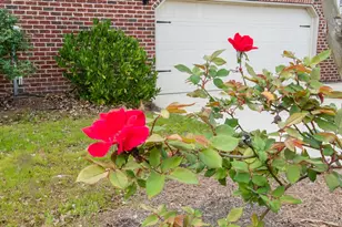 2403 Sunflower Dr, Evans, GA 30809 - Photo 28