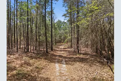 2229 Andrews Circle, Aiken, SC 29803 - Photo 56