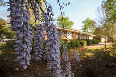 842 Calhoun Place SE, Aiken, SC 29801 - Photo 28