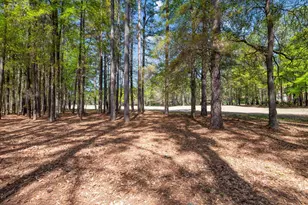 5306 Belle Mead Dr, Aiken, SC 29803 - Photo 46