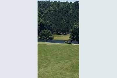543 W Pleasant Colony Drive #Lot 290, Aiken, SC 29803 - Photo 2