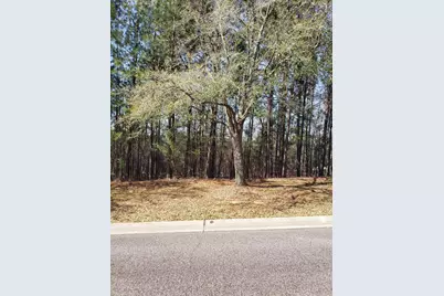 543 W Pleasant Colony Drive #Lot 290, Aiken, SC 29803 - Photo 4