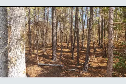 Lot A 3.2A Kedron Church Road, Aiken, SC 29805 - Photo 8