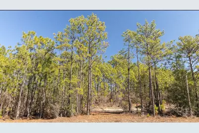 Lot B 3.2A Kedron Church Road, Aiken, SC 29805 - Photo 6
