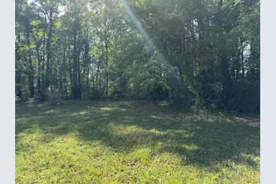 103 Peach Street, Denmark, SC 29042 - Photo 4