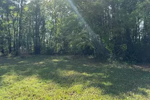 103 Peach St, Denmark, SC 29042 - Photo 4